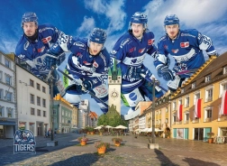 Slagalica STRAUBING TIGERS 1000 dijelova od EUROGRAPHICS