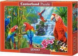 Puzzle od 2000 dijelova Parrot Meeting