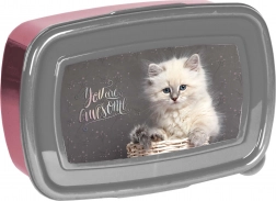 Paso kutija za užinu s mačkom 750 ml