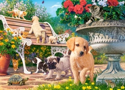 Slagalica 100 dijelova Hide and Seek