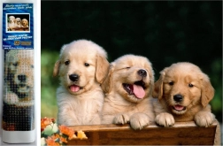 Dijamantna mozaička - Tri psa