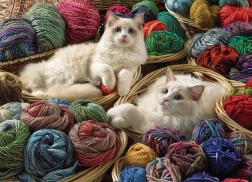 Puzzle Mačka Ragdoll 1000 komada Cobble Hill