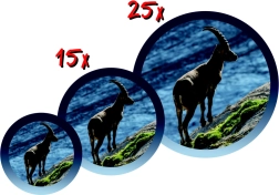 Dječji teleskop sa stativom NAVIR – mješavina boja