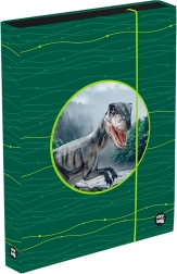 Kutija za bilježnice A4 Jumbo OXY Sherpy zelena