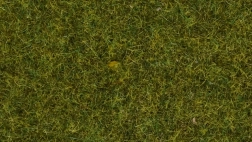 Statička trava Noch divlja livada, 9 mm