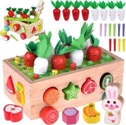 Drveni montessori vrtni vagončić sa berbom mrkve, oblicima i magnetskim crvićima