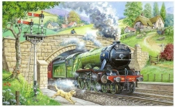 HOP Puzzle Train Observation 250 pieces