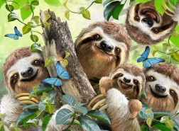 Sloth Selfie Puzzle 500 dijelova