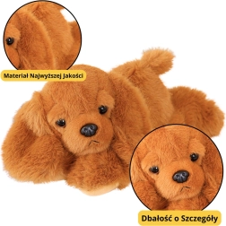 Plišani pas Cocker Spaniel s utegnutim šapama smeđi 30 cm