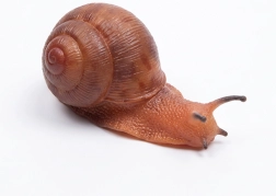 Gumeni puž 13 cm
