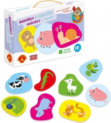 Alexander upoznavanje za najmlađe – pločice boje