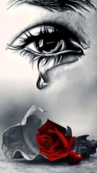 Dijamantno slikanje Plač nad ružom 30 × 40 cm