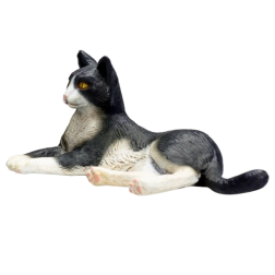 Crno-bijela ležeća mačka Mojo