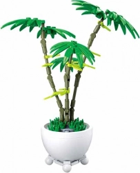 Sluban cvijet u posudi – zelena palma
