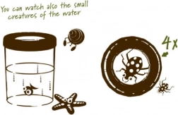 Navir Explora veliki kalež za promatranje kukaca