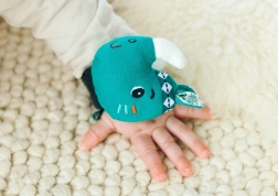 Lilliputiens zvečkasta narukvica nosorog Marius