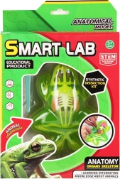 Igra anatomije žabe