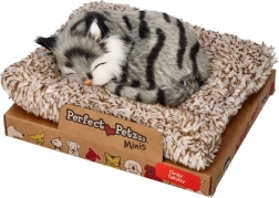 Perfect Petzzz mali sivi tigrasti mačić