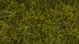 Noch statička trava divlja livada 12 mm