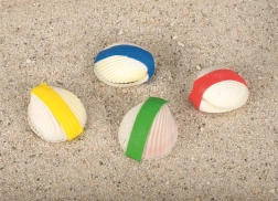 Čarobna školjka Goki