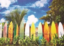 Slagalica Surfarski raj 1000 dijelova EUROGRAPHICS