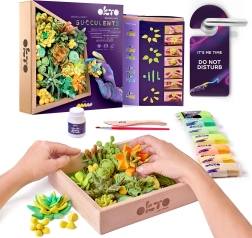 OKTO Energy kreativni set za modeliranje sukulenata u drvenom okviru
