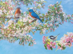 Puzzle Cvjetni festival XL 275 dijelova od Cobble Hill