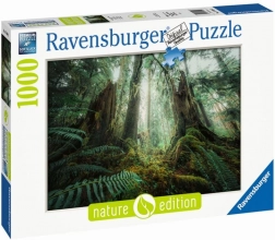 Puzzle 1000 dijelova Šume Ravensburger