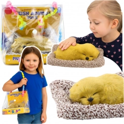 Spavajući labrador na jastučiću s mekim krznom i zvukovima