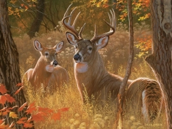 Slagalica Tajni sastanak XL 275 dijelova COBBLE HILL