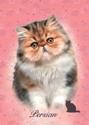 Slagalica Perzijska mačka 100 dijelova