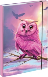 Mape za školske bilježnice A4 s motivom sove BAAGL