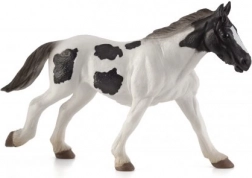 Mojo irski tinker jednogodišnje ždrijebe