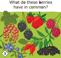 Yummy! edukativna igra o zdravoj prehrani za djecu od 3 godine