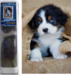 dijamantno slikanje štene bernskog planinskog psa 30 × 40 cm