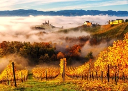 Enjoy puzzle U vinogradu 1000 dijelova