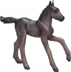 Mojo arapsko ždrijebe crno