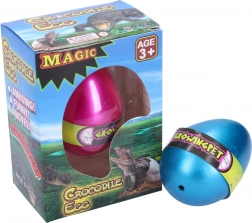 Rastuće krokodilsko jaje 6,5 cm