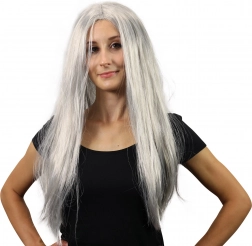 srebrna čarobnjačka perika s dugom kosom