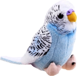 Maskota plavi papagaj