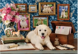 Puzzle Labrador 500 dijelova