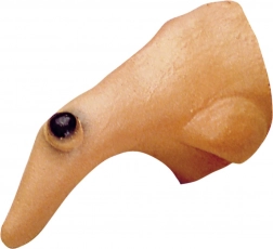 Čarobnjački nos s bradavicom