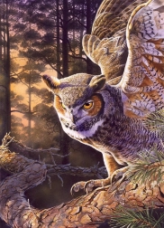 Slagalica Večernji Lovac 1000 dijelova