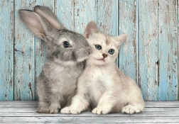 slagalica 500 dijelova compact mačka i zec