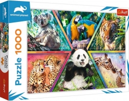 Puzzle od 1000 dijelova – kraljevstvo životinja ANIMAL PLANET