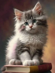 Dijamantna mozaika – mačić na knjigama