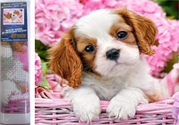 Dijamantno slikanje štene u ružičastoj košari 30 × 40 cm