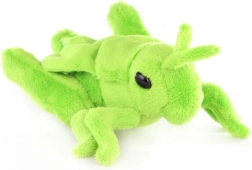 Plišana livadna skakavica