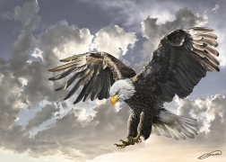 Zagonetka Crna i Bijela 500 Komada