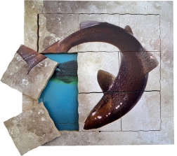 Just Jigsaws Losos i njegov životni ciklus - drvene slojevite puzzle